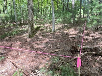 3 French Broad Overlook Unit Lot 1, Arden, NC 28704