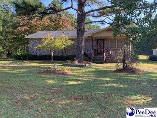 514 Van Dyke Rd, Dillon, SC 29536