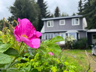 894 Lupine Ct, Homer, AK 99603