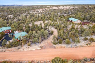2030 Shadow Pines Dr Unit 102, Overgaard, AZ 85933