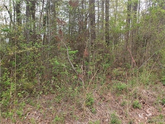 12400 E Booker Blvd, Chester, VA 23831