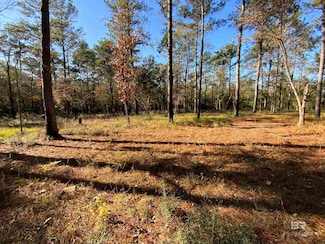 10 Drinkard Rd, Bay Minette, AL 36507