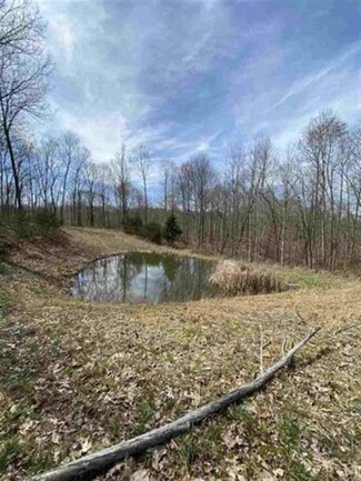 5488 Reece Hurt Rd Unit Tract 2, Breeding, KY 42715