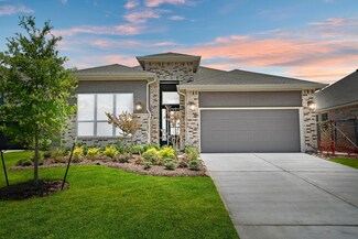 18047 Brennie Bird Ln, Grangerland, TX 77302