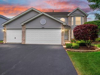 250 Ferryville Dr, Lake In the Hills, IL 60156