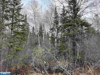 TBD Butler Rd, Iron Junction, MN 55751