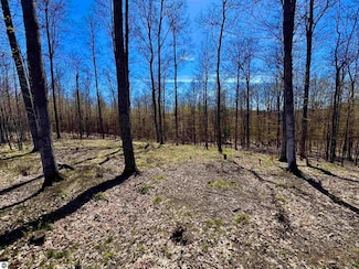 1913 & 1919 N Blue Water Ct, Suttons Bay Township, MI 49682