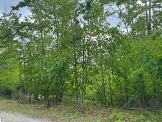00 Snow Goose Cir, Otsego Lake Township, MI 49735