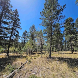 0 Red Maple Unit 170985, Mayhill, NM 88339