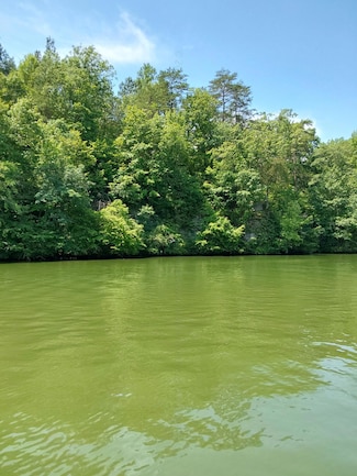 0 Hatfield Trail Unit 24-1144, Quinton, AL 35130