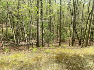 0 Deer Run Unit 26039791, Franklin, NC 28734