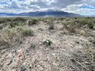 0 Gamble District Unit NW4 SE4 OF SECTION, Elko, NV 89830