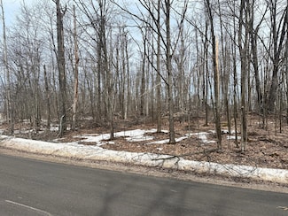 Lot# 1937 Bob White Way, Otsego Lake Township, MI 49735