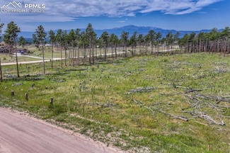 01 Wyandott Dr, Colorado Springs, CO 80908