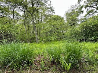 19A Locust Ln, Aquinnah, MA 02535