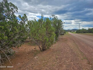 40 Cr 3190, Vernon, AZ 85940