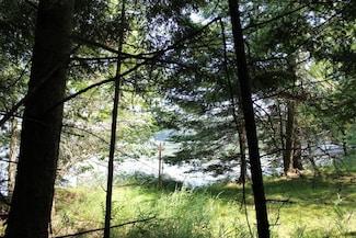 0 Forest Ln Unit 50301037, Pickerel, WI 54465