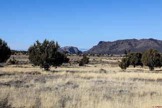 TBD Tract 5 Bostwick Park Rd, Montrose, CO 81401