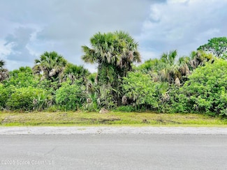 3237 Madden Ave, Palm Bay, FL 32908