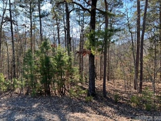 Lot 55 Primrose Creek, Heber Springs, AR 72543