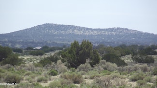 3020 Rudy Rd, Williams, AZ 86046