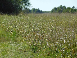 TBD Louisiana 3235, Cut Off, LA 70345