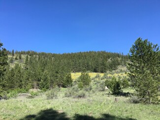 Lot 3 Diamond Estates S, Plains, MT 59859