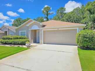 313 Dahoon Holly Dr, Daytona Beach, FL 32117