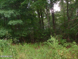 8029 Saratoga Dr, Crossville, TN 38572