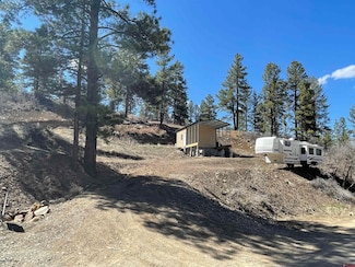 141 Hollow Dr, Pagosa Springs, CO 81147