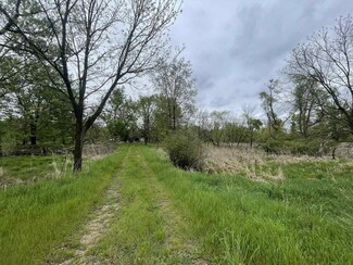 53641 M 51 N, Dowagiac, MI 49047