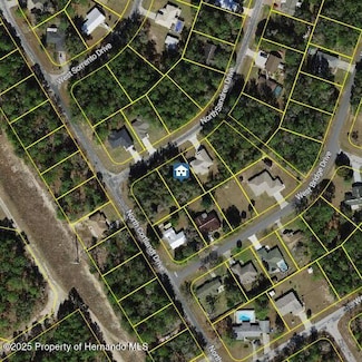 9996 N Sandree Dr, Citrus Springs, FL 34434