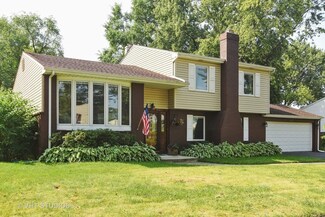1337 E Michele Dr, Palatine, IL 60074