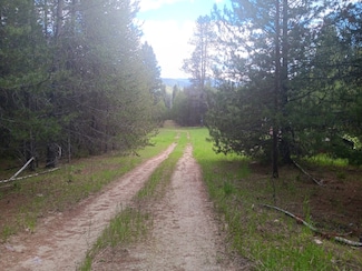 763 Upper Cotton Ln, de Borgia, MT 59830