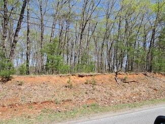 0-13 Gallows Rd, Hurt, VA 24563