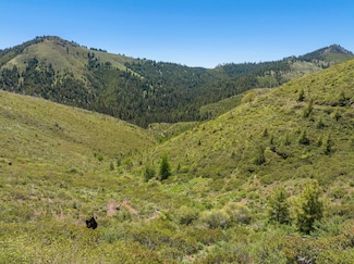 0 1680 Nfs Rd, Unity, OR 97884