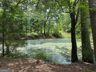 0 Prior Station Rd Unit TRACT 1 10612520, Cedartown, GA 30125