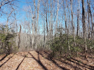 TBD Raynolds Rd, Lake Toxaway, NC 28747