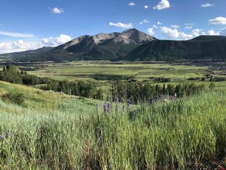 35 Overlook Dr, Mt. Crested Butte, CO 81225