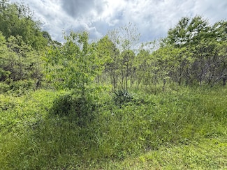 9999 Springs Branch Dr, London, KY 40744