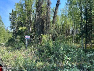 11740 W La Rae Rd, Houston, AK 99652