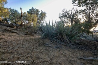 LOT 16 Road 25531, Aztec, NM 87410