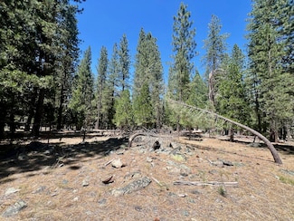 38 Tolowa Trail, Graeagle, CA 96103