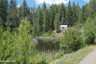 347 Ryan Loop, St. Maries, ID 83861