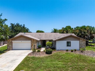 20 Chippeway Ct, Palm Coast, FL 32137