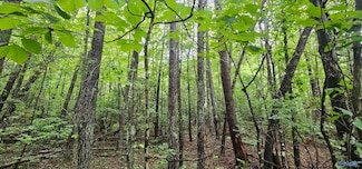 3 +/- Acres County Road 106, Mentone, AL 35984