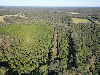 0 Arrant Rd, Westville, FL 32464