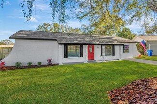 507 Highview Terrace S, Brandon, FL 33510