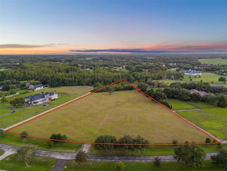 11439 Trotting Down Dr, Odessa, FL 33556
