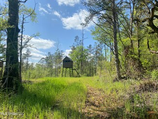 60 Hebron Rd, Vaiden, MS 39176